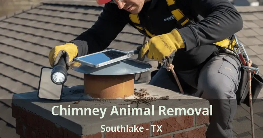 Chimney Animal Removal Southlake - TX