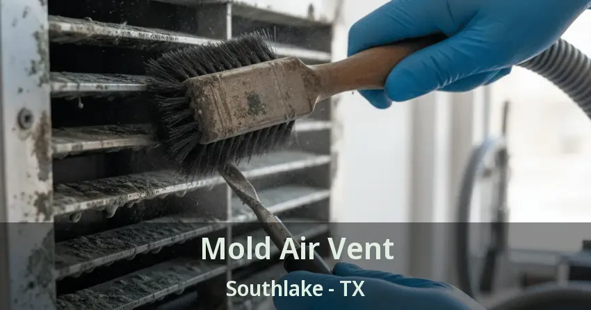 Mold Air Vent Southlake - TX