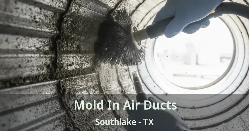 Mold In Air Ducts Southlake - TX Mold In Air Ducts Southlake - TX