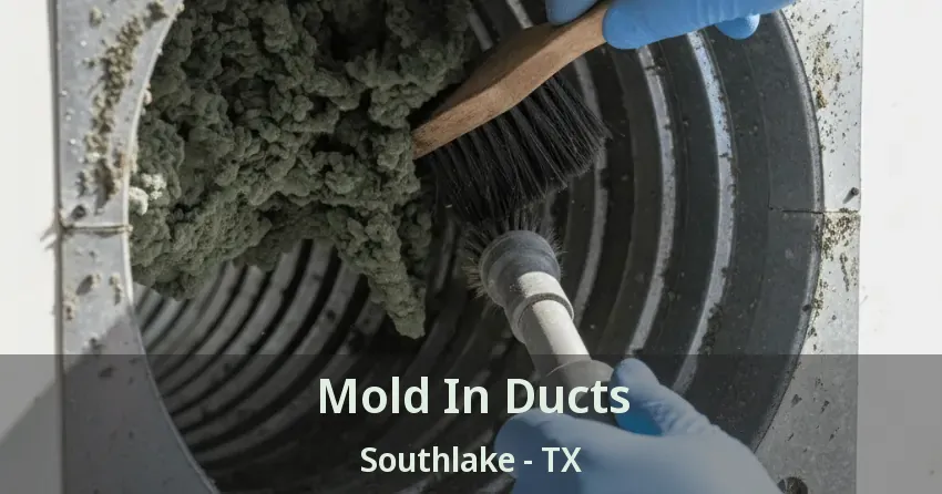 Mold In Ducts Southlake - TX Mold In Ducts Southlake - TX