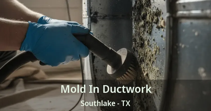 Mold In Ductwork Southlake - TX