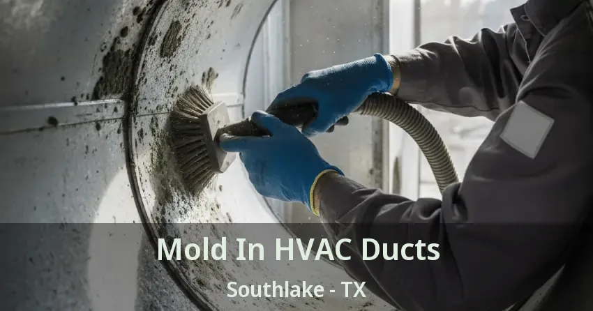 Mold In HVAC Ducts Southlake - TX
